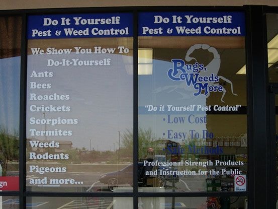 Window Graphics